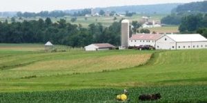 A Bart Township farmer sprays his corn crop on Tuesday.